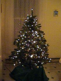 Our Christmas tree (January 2004) Our Christmas tree (January 2004)