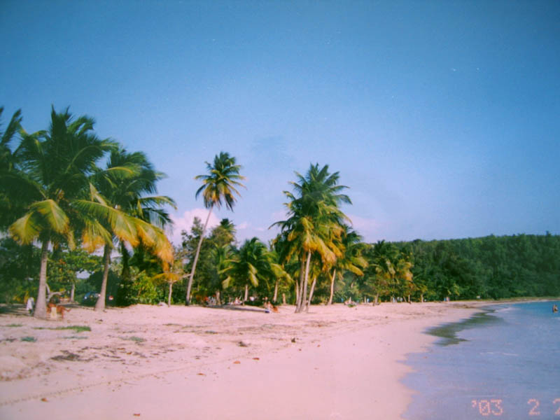 The Vieques Beaches picture 11666