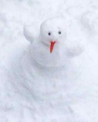 Snowman picture 2851
