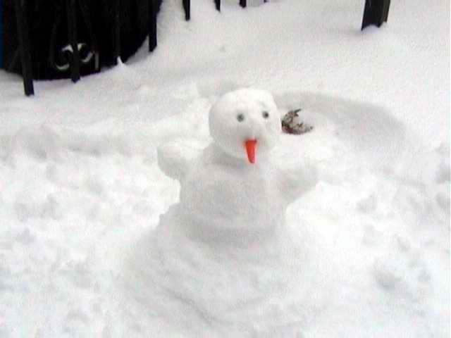 Snowman picture 2852
