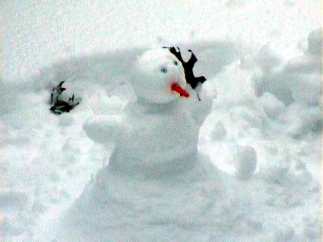 Snowman picture 2855