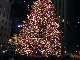 The christmas tree in Rockefeller Center - perhaps the most famous ever (December 2003) The christmas tree in Rockefeller Center - perhaps the most famous ever (December 2003)