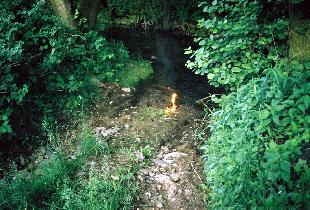 Paťo on creek (August 2003) Paťo on creek (August 2003)
