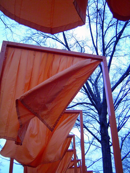 Umelecká expozícia v Central Park-u (Február 2005)