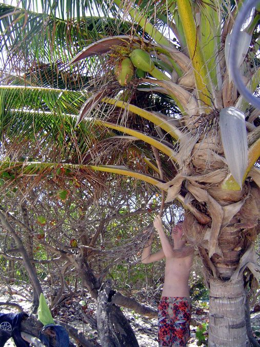 Culebra Island - Flamenco Beach picture 185