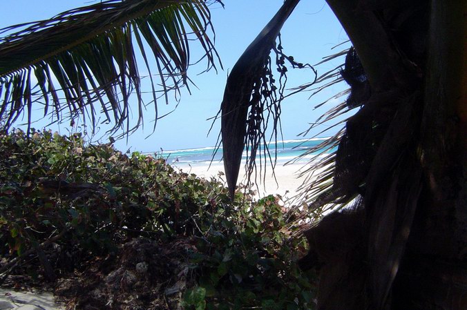 Culebra Island - Flamenco Beach picture 203