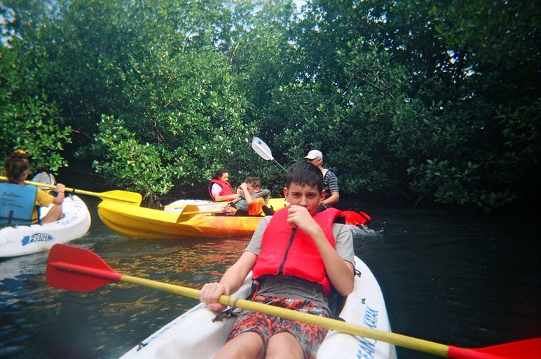 On kayaks in mangrove forest