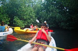 On kayaks in mangrove forest (February 2005) On kayaks in mangrove forest (February 2005)