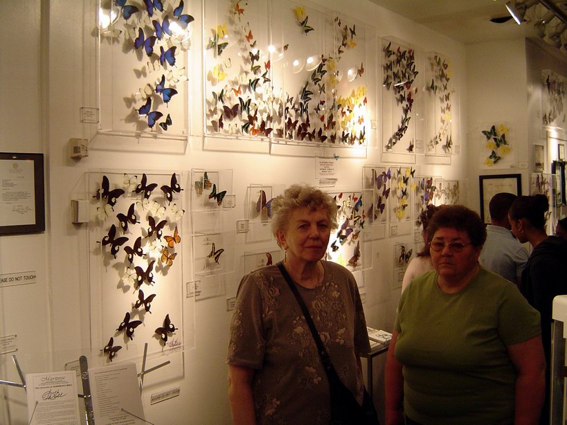 Butterfly art (April 2005)