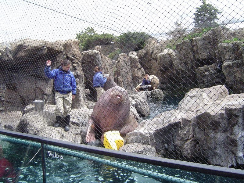 Brooklyn Aquarium picture 1187