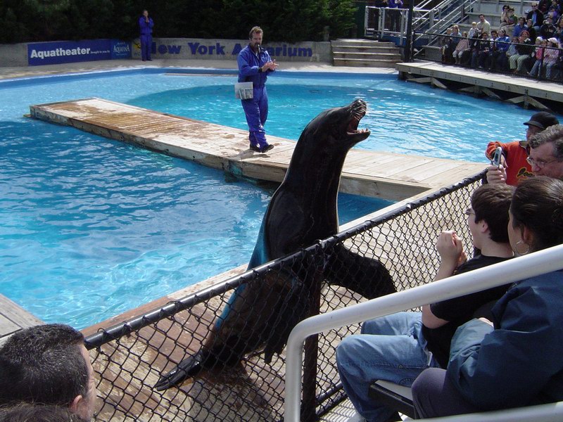 Brooklyn Aquarium picture 1200