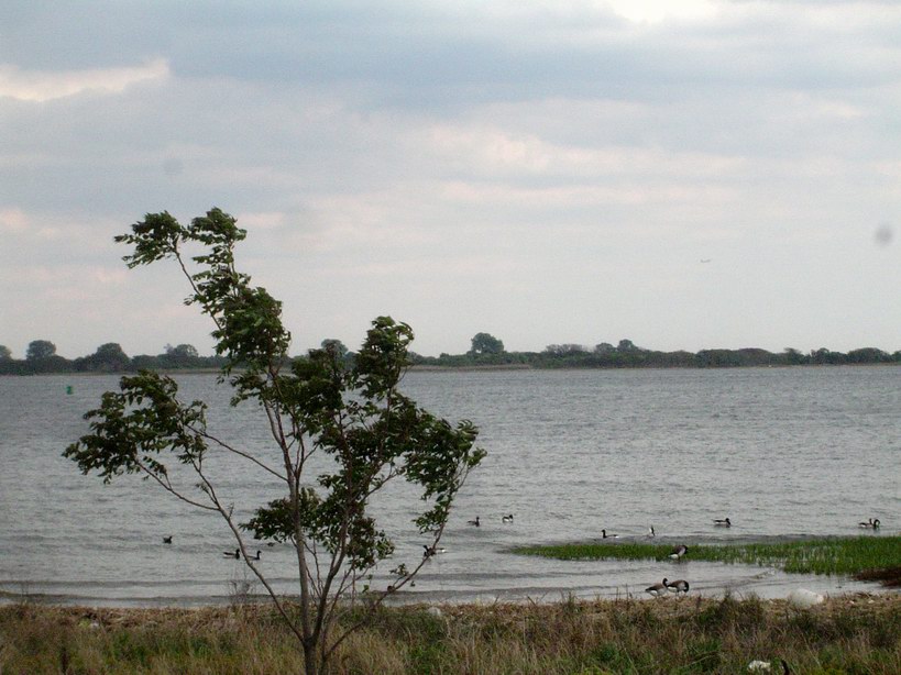 Bike riding seashore picture 1448