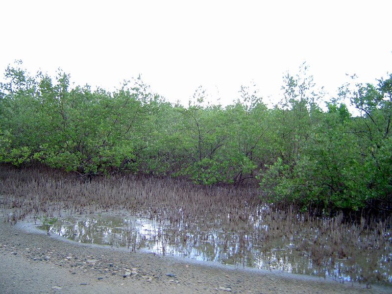 Laguna Kiani picture 2262