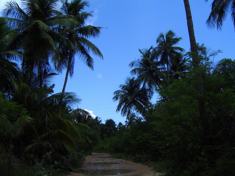 Laguna Kiani obrzok 2263