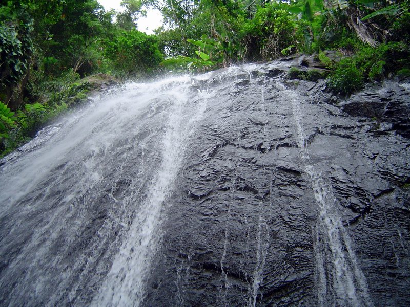El Yunque - tropický dažďový les obrázok 3251