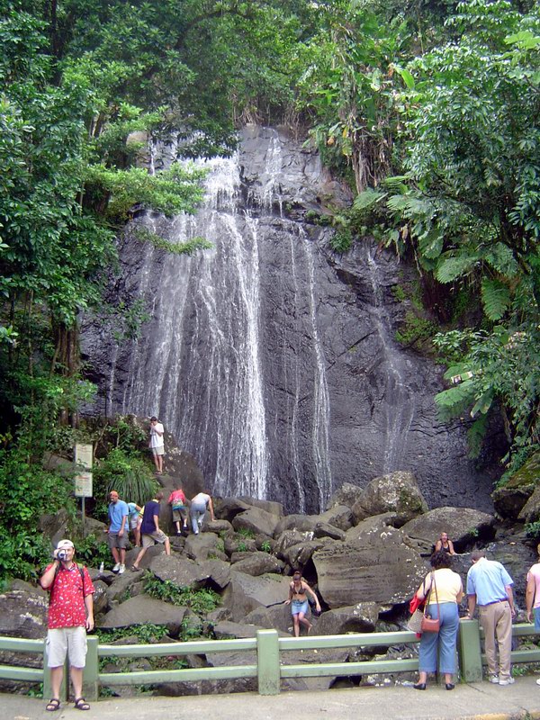 El Yunque picture 3249