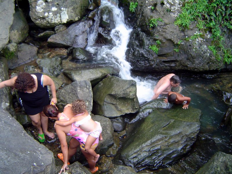 El Yunque picture 3250