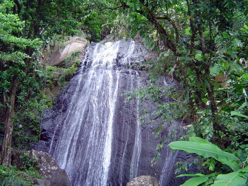 El Yunque picture 3260