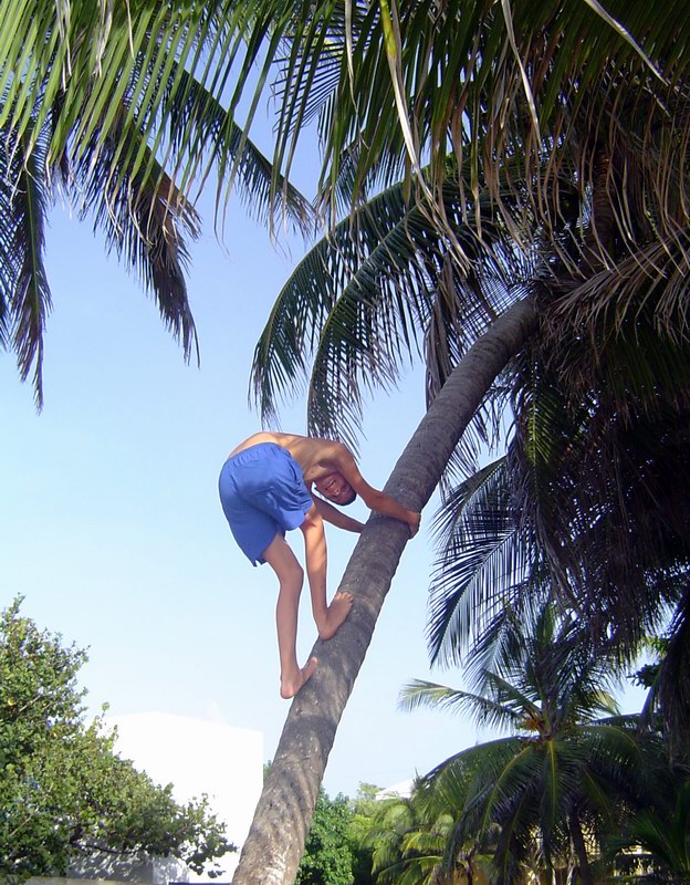 Tomáš lezie na palmu (Júl 2005)