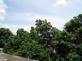 Rooftop view (July 2005) Rooftop view (July 2005)