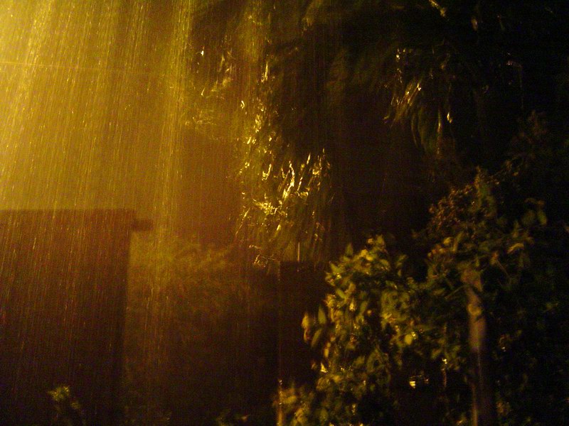 Rain picture 2630