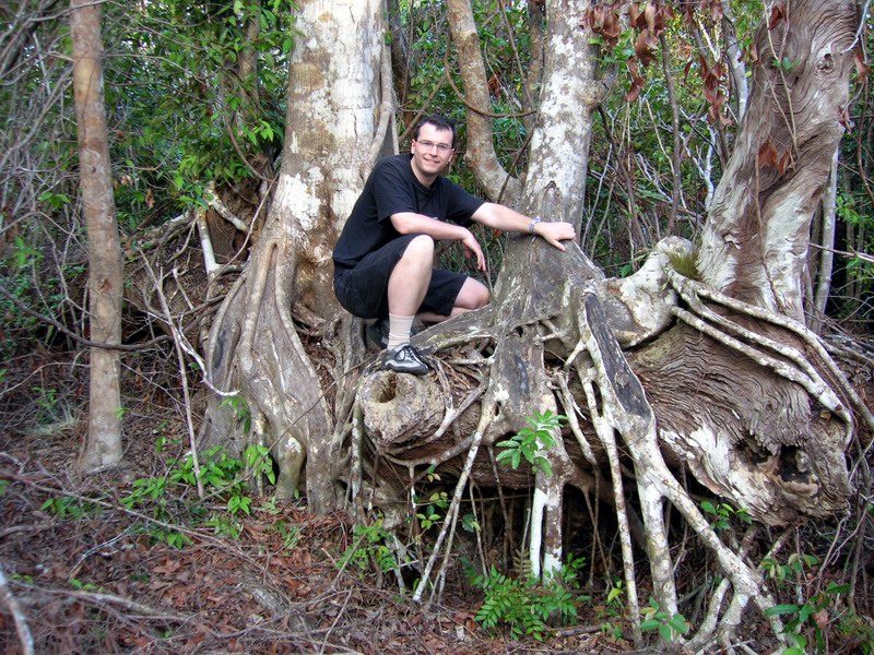 Everglades National Park picture 5373