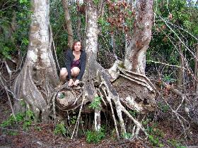 Everglades National Park (December 2005) Everglades National Park (December 2005)