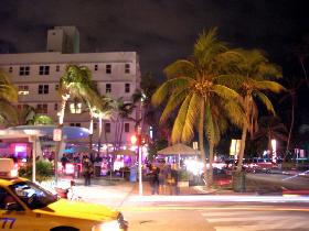 There were coconut palms on the main street. (December 2005) There were coconut palms on the main street. (December 2005)