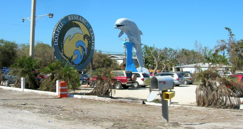 Dolphine Research Center