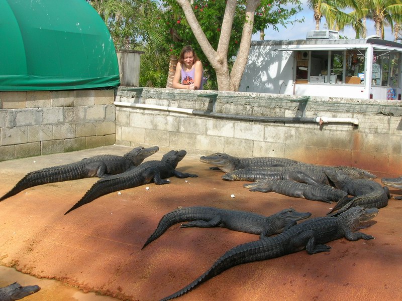 Milena and aligators