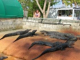 Milena and aligators (December 2005) Milena and aligators (December 2005)