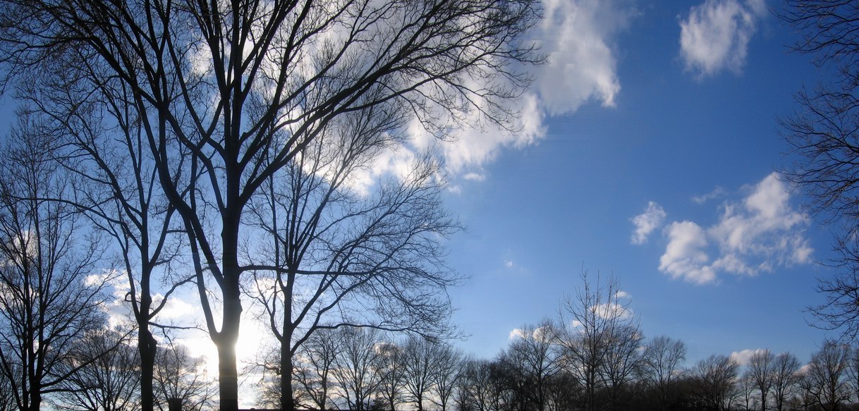 Marine Park - 'A Tree And A Squirrel' picture 5887