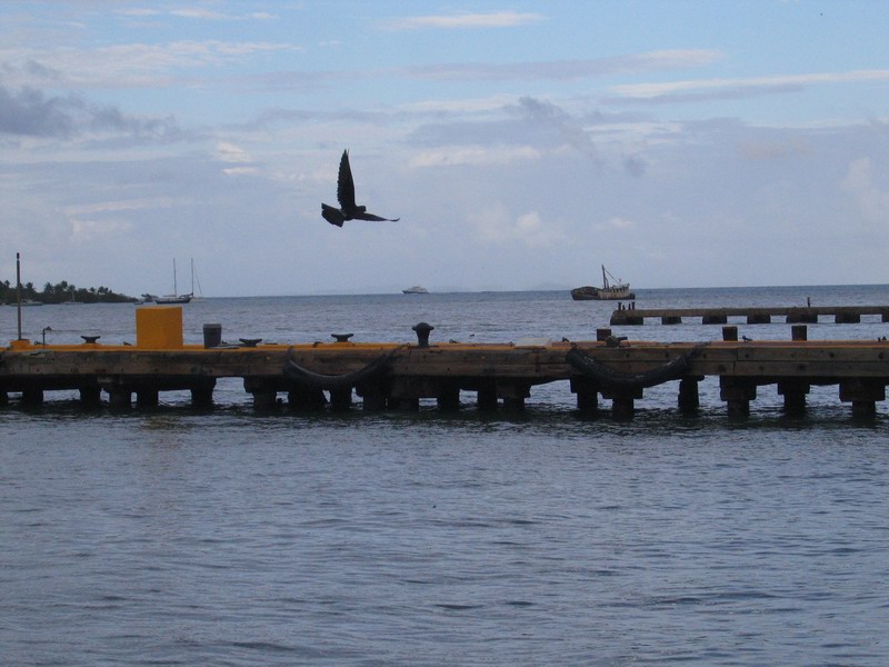 Our boat is coming - finally. It's the one on the horizon (the one you barely can see)