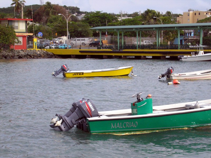 Isabel II - the capital city of Vieques picture 6552