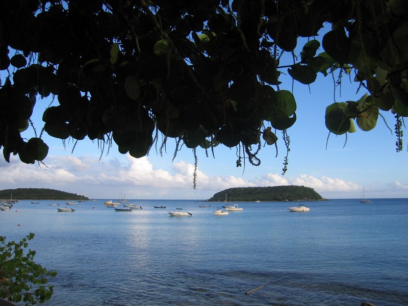 Anchored boats