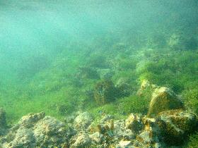 Underwater country side (April 2006) Underwater country side (April 2006)