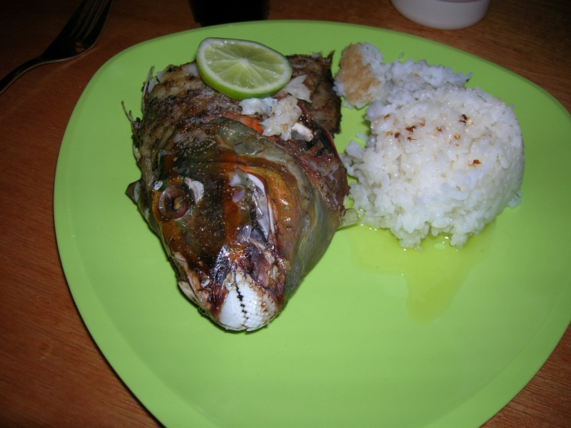 Parrot Fish for a dinner picture 6550