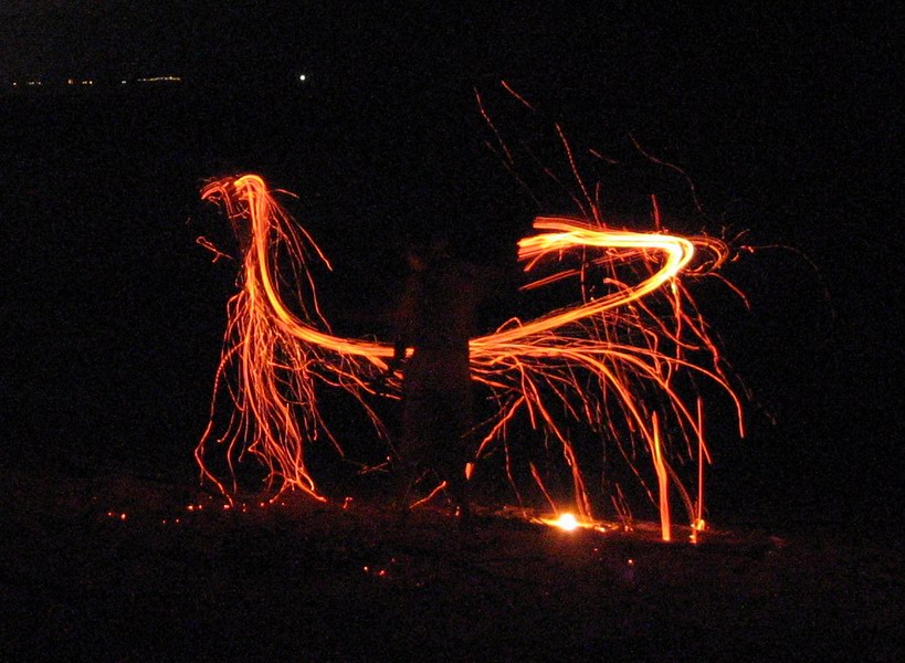 Burning palmtree leaf (April 2006)