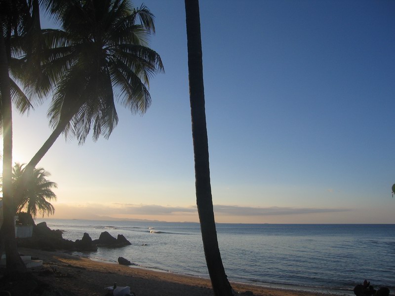 Barbecue under palm trees picture 6312