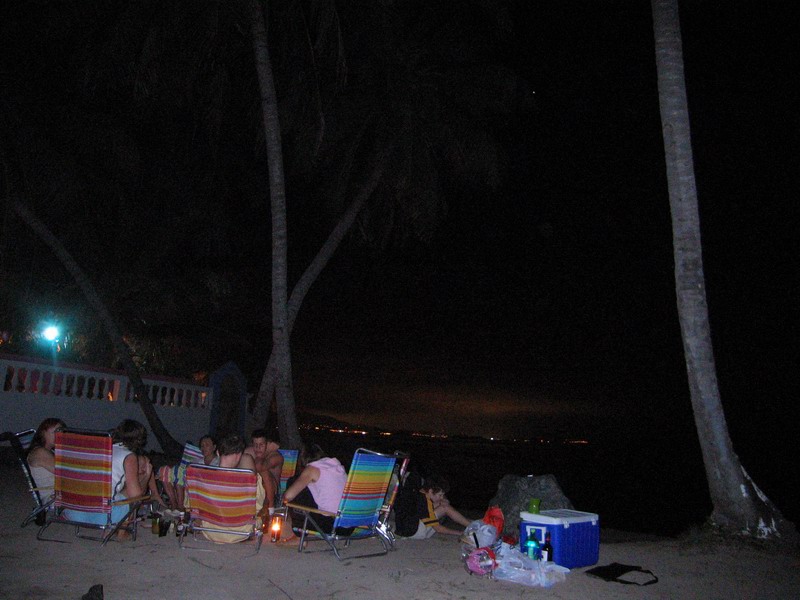 Barbecue under palm trees picture 6329