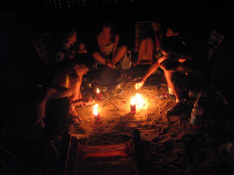 Barbecue under palm trees picture 6331