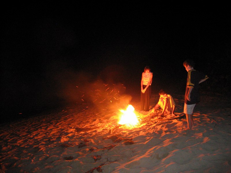 Barbecue under palm trees picture 6336