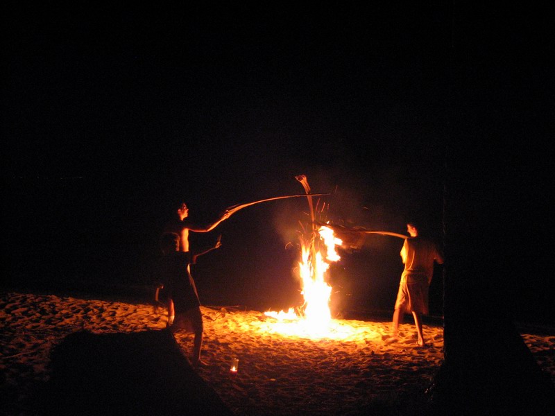 Barbecue under palm trees picture 6339