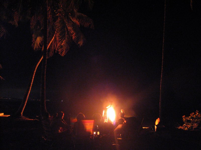 Barbecue under palm trees picture 6341