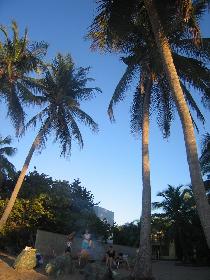 Barbecue under palm trees (April 2006) Barbecue under palm trees (April 2006)