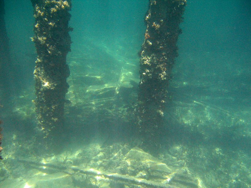 Snorkeling under the old pier in Esperanza picture 6281