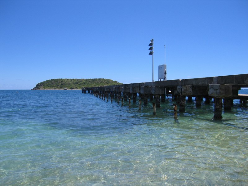 Snorkeling under the old pier in Esperanza picture 6305