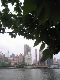 Roosevelt Island a Bohemian Hall (Máj 2006) Roosevelt Island a Bohemian Hall (Máj 2006)