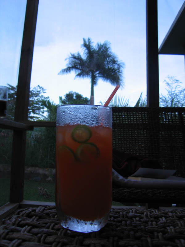 Katarna's drink decorated by a palmtree