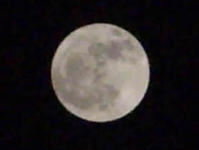 The Moon is beautiful here, but I can't take a single good picture of it (July 2006) The Moon is beautiful here, but I can't take a single good picture of it (July 2006)